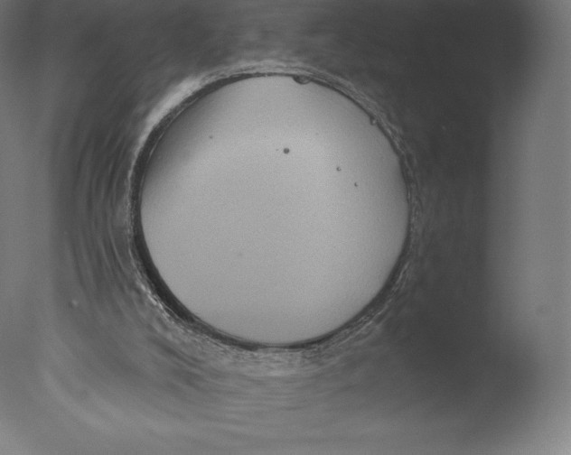 X0000076320008200610201651