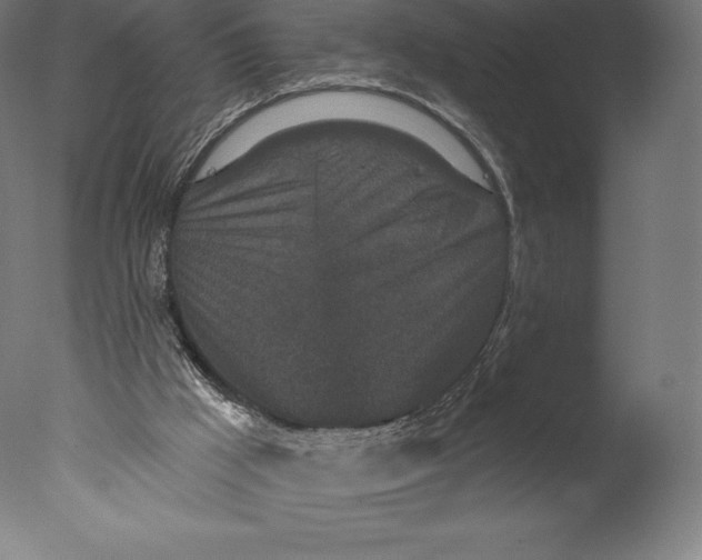 X0000076320009200610201651