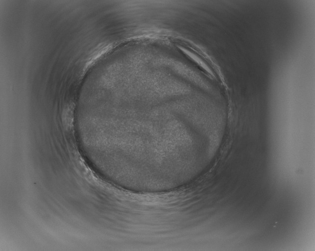 X0000076320010200610201651