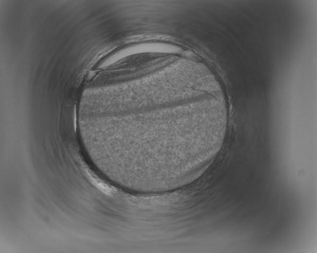 X0000076320013200610201650