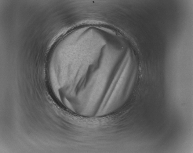 X0000076320015200610201650