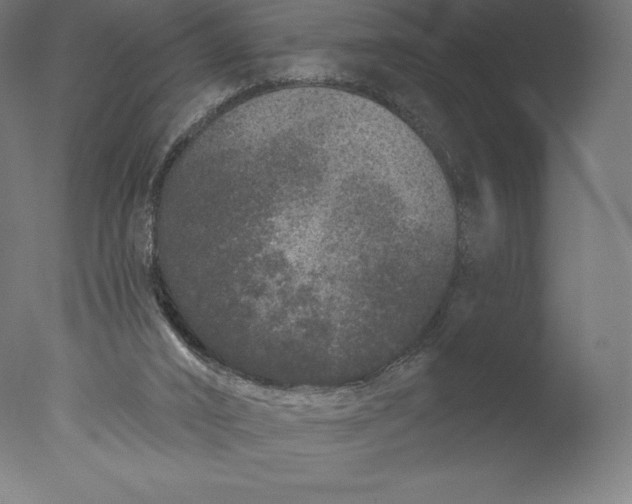 X0000076320016200610201650