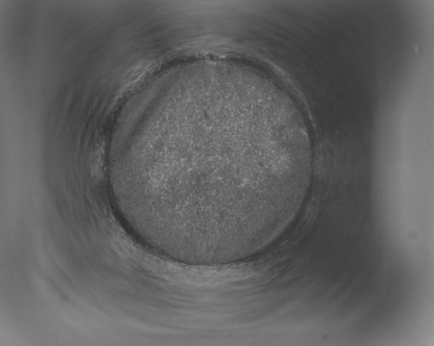 X0000076320018200610201650