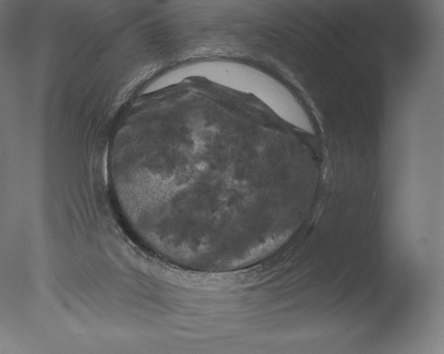 X0000076320019200610201650