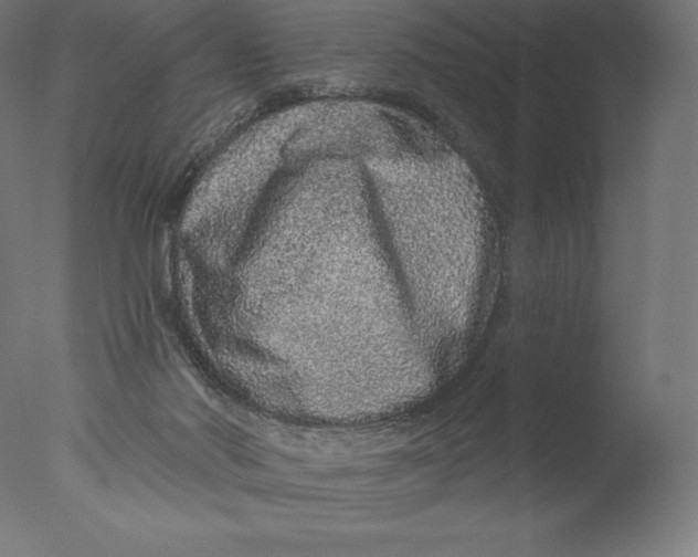 X0000076320022200610201650