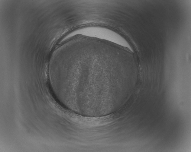 X0000076320023200610201650