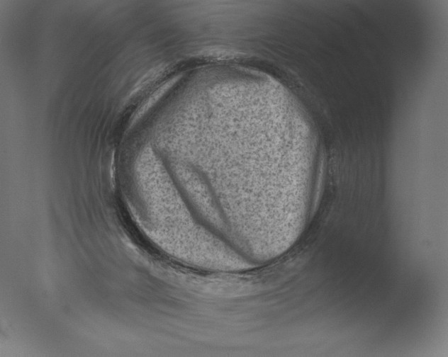 X0000076320024200610201650