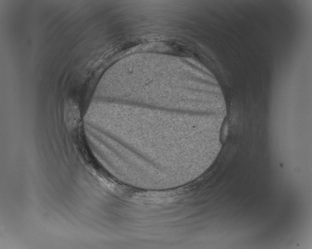 X0000076320025200610201650