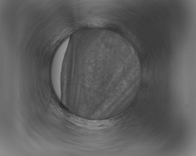 X0000076320027200610201650