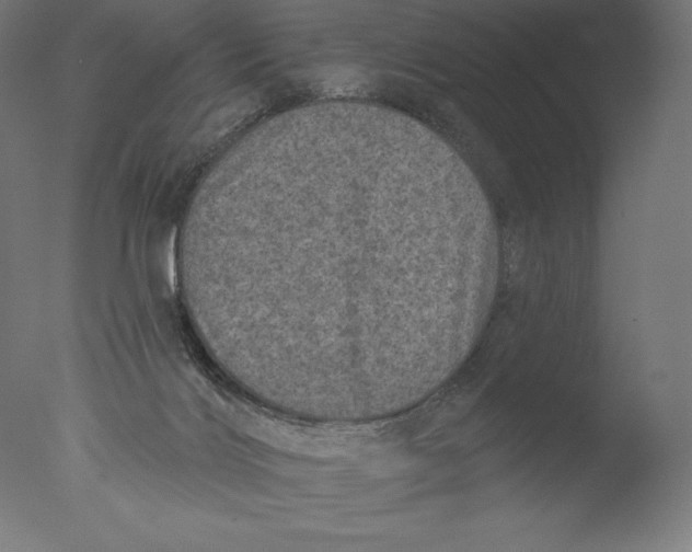 X0000076320028200610201650