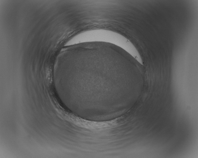 X0000076320031200610201650