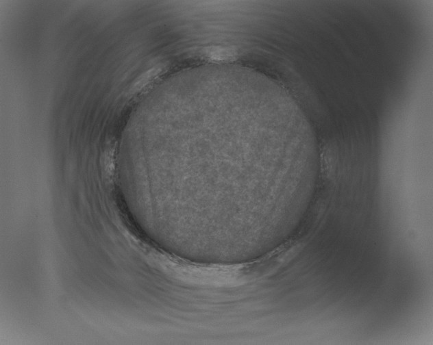 X0000076320032200610201650