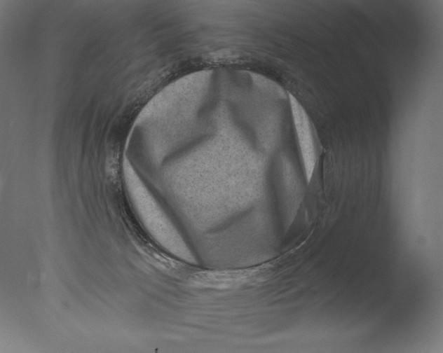 X0000076320033200610201650