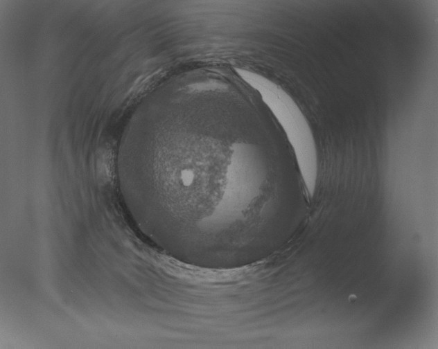 X0000076320035200610201650