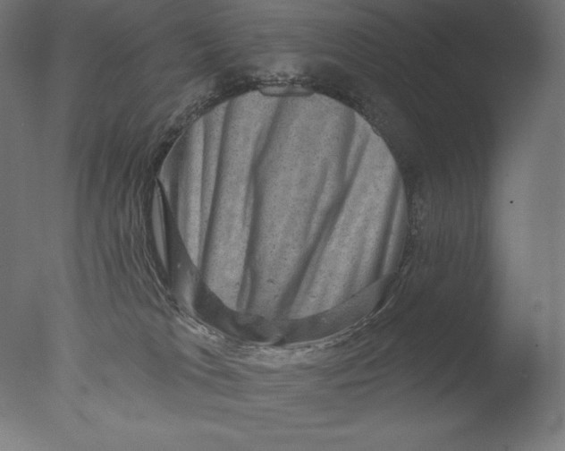 X0000076320037200610201650