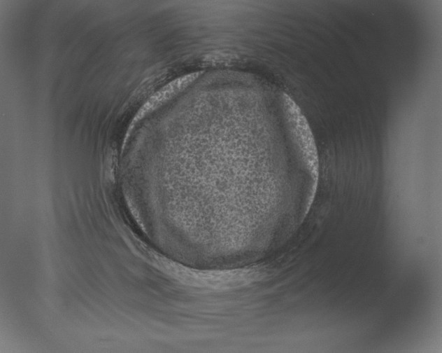 X0000076320038200610201650