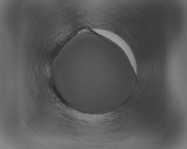 X0000076320039200610201650