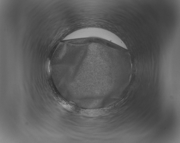 X0000076320041200610201650