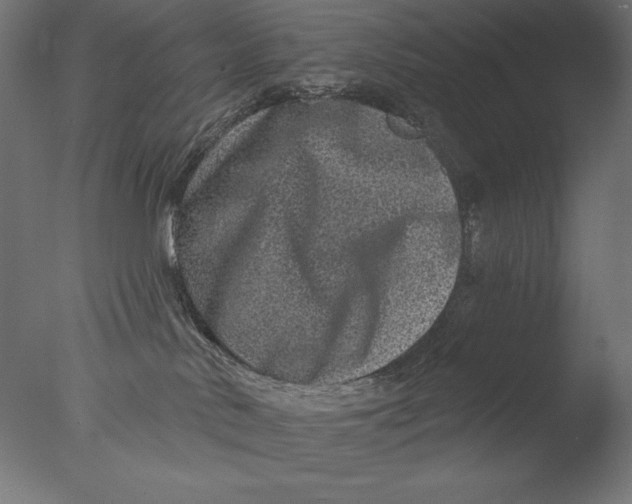 X0000076320042200610201650