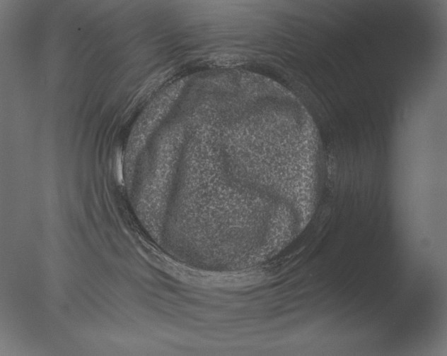 X0000076320046200610201650