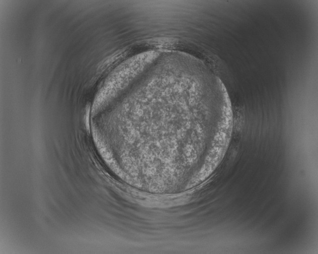 X0000076320047200610201650