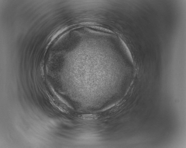 X0000076320050200610201649