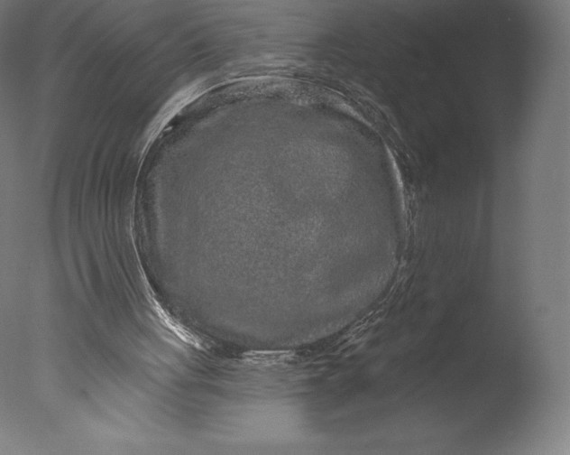 X0000076320051200610201649