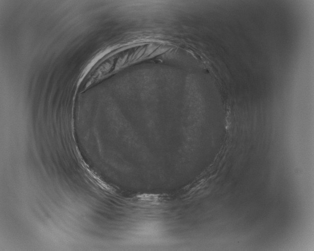 X0000076320052200610201649