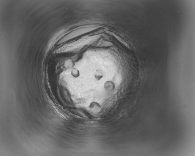 X0000076320053200610201649