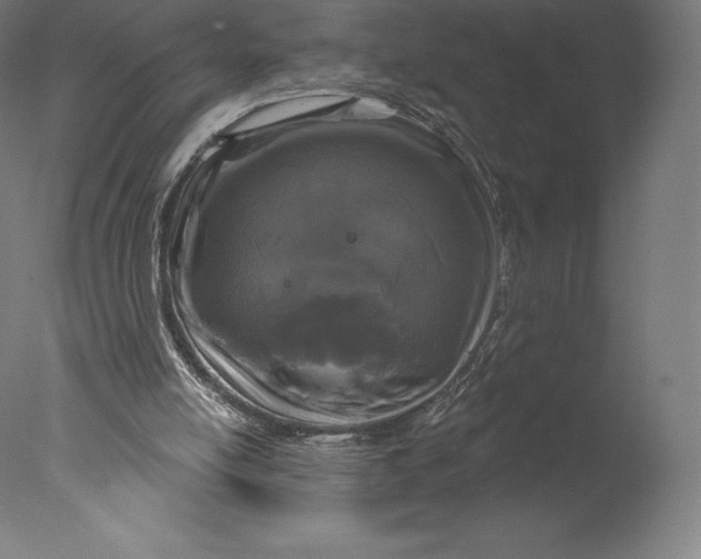 X0000076320054200610201649