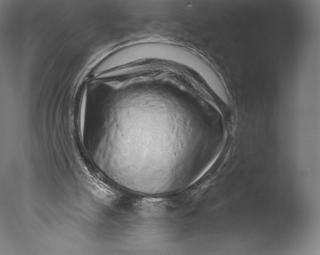 X0000076320055200610201649