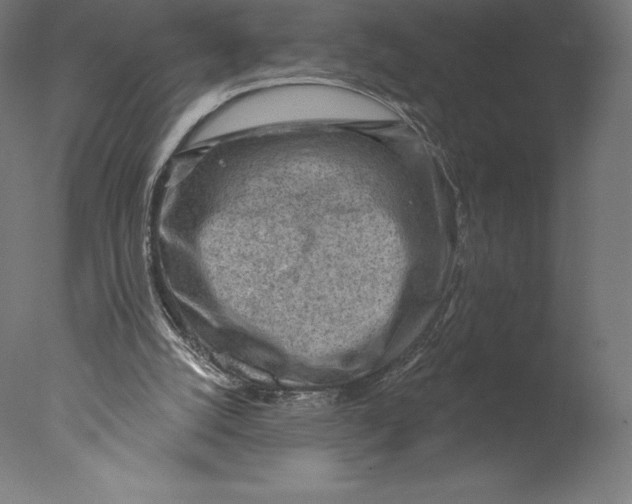 X0000076320056200610201649