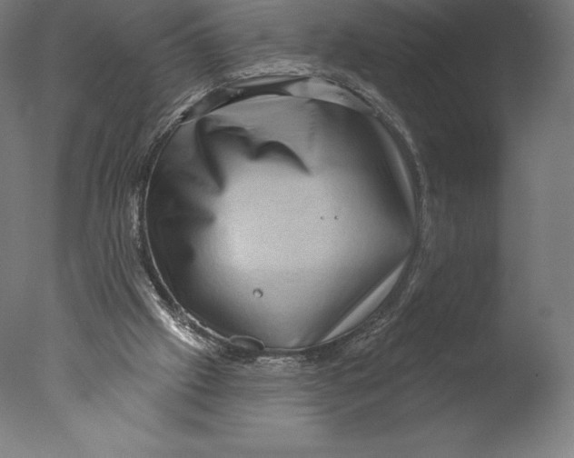 X0000076320057200610201649