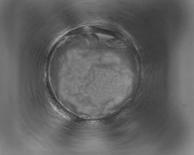 X0000076320059200610201649