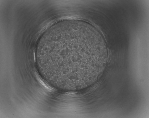 X0000076320061200610201649