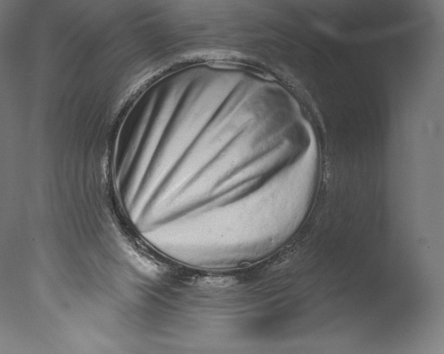 X0000076320063200610201649