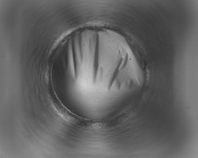 X0000076320064200610201649