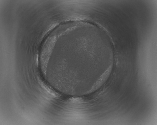 X0000076320067200610201649