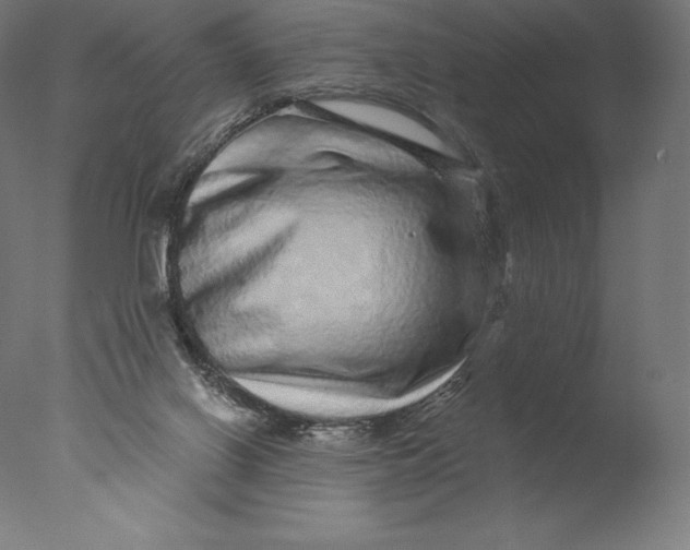 X0000076320070200610201649