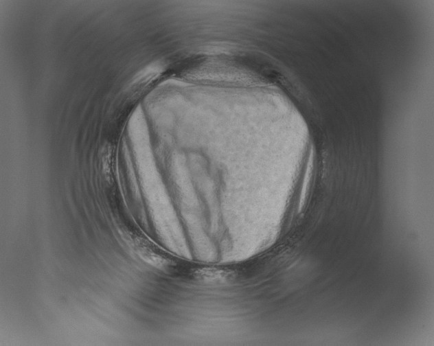 X0000076320073200610201649