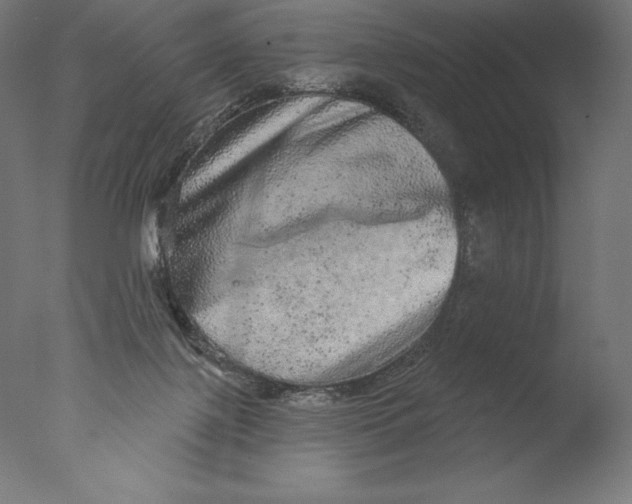 X0000076320075200610201649