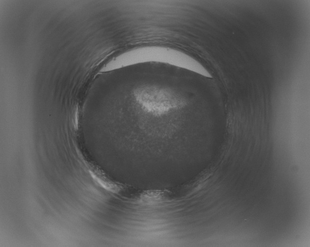 X0000076320076200610201650