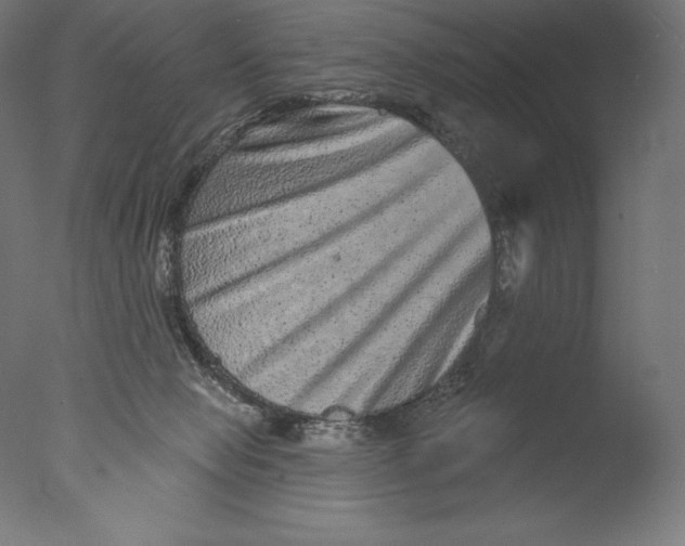 X0000076320077200610201650