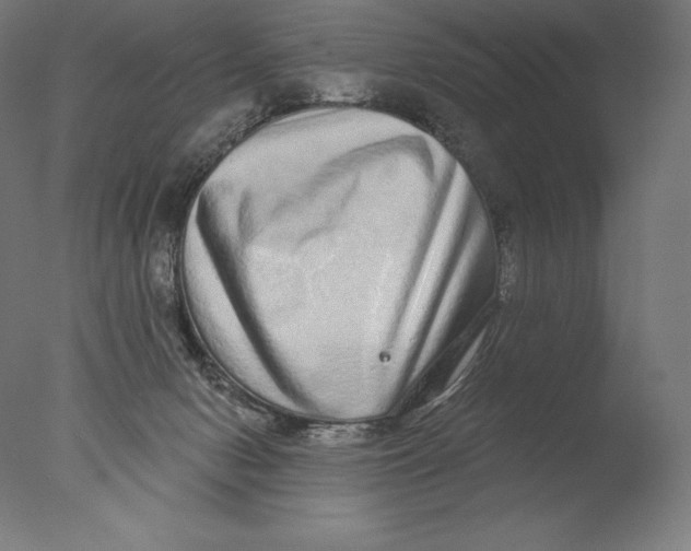 X0000076320078200610201650