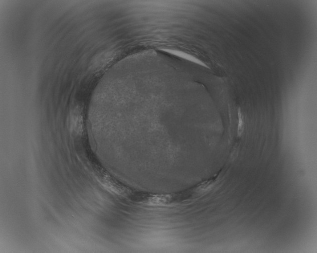 X0000076320080200610201650