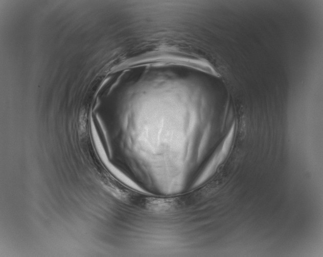 X0000076320081200610201650