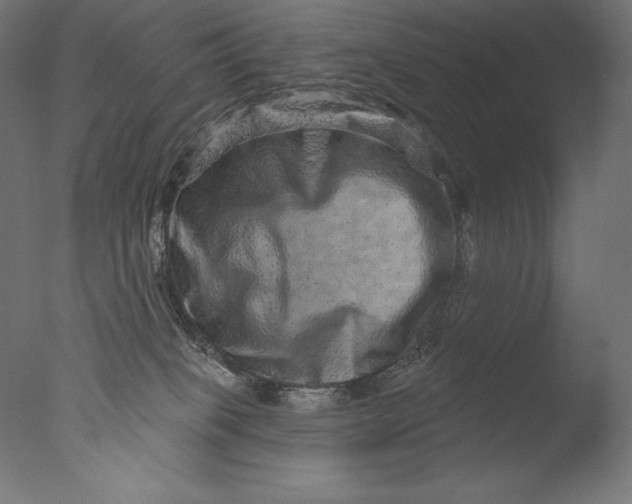 X0000076320085200610201650