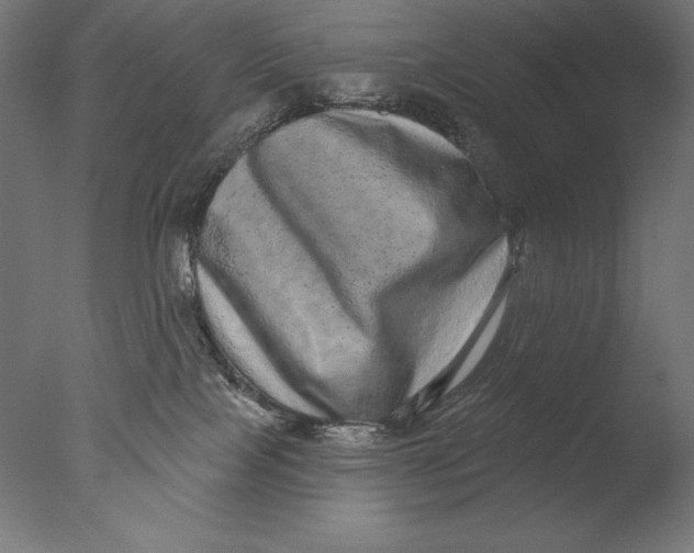 X0000076320089200610201650