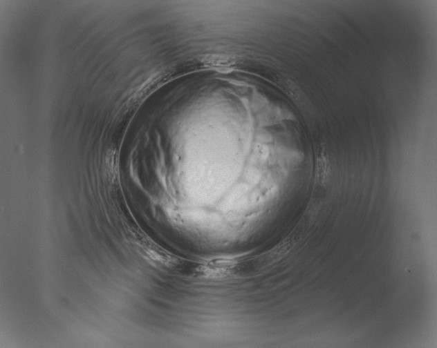 X0000076320093200610201650