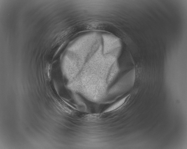 X0000076320094200610201650